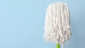 گردگیر و زمین شوی افشانه ای