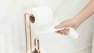مهمترین الویت ها برای ورود مهمان به منزل